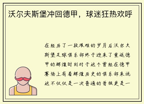 沃尔夫斯堡冲回德甲，球迷狂热欢呼