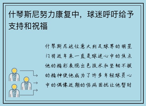 什琴斯尼努力康复中，球迷呼吁给予支持和祝福