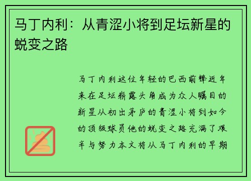 马丁内利：从青涩小将到足坛新星的蜕变之路